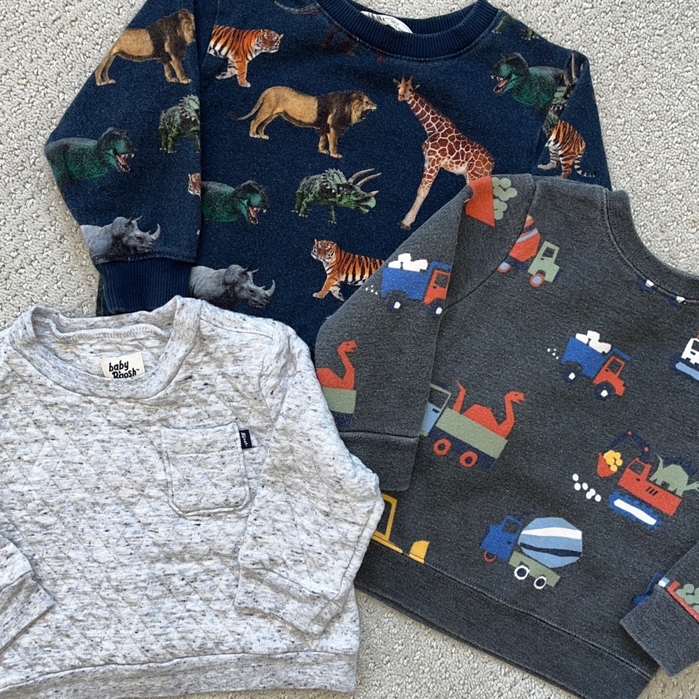Boys Crewneck Sweatshirts animas trucks solid waffle gray size 12 months